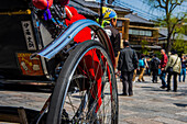 Rickshaw, Kyoto, Honshu, Japan, Asia