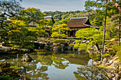 Ginkaku-ji Zen Temple (Jisho-ji) (Temple of the Silver Pavilion), UNESCO World Heritage Site, Kyoto, Honshu, Japan, Asia