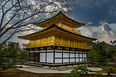 Kinkaku-Ji (Golden Pavilion) Buddhist temple, UNESCO World Heritage Site, Kyoto, Honshu, Japan, Asia