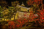 Nächtlich beleuchteter Kyotoer Kaiserpalast während der Kirschblüte, Kyoto, Honshu, Japan, Asien