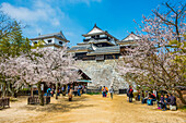 Kirschblüte in der Burg Matsuyama, Shikoku, Japan, Asien