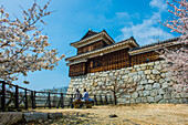 Kirschblüte in der Burg Matsuyama, Shikoku, Japan, Asien