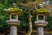 Stone lanterns, UNESCO World Heritage Site, Nara, Kansai, Honshu, Japan, Asia