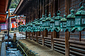 Lots of lights, UNESCO World Heritage Site, Nara, Kansai, Honshu, Japan, Asia