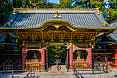 Entrance to the Iemitsu Mausoleum (Taiyuinbyo), UNESCO World Heritage Site, Nikko, Tochigi Prefecture, Kanto, Honshu, Japan, Asia