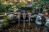 Wooden sign, Futarasan Shrine, UNESCO World Heritage Site, Nikko, Tochigi Prefecture, Kanto, Honshu, Japan, Asia