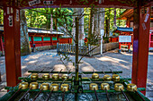 Water dipper, Futarasan Shrine, UNESCO World Heritage Site, Nikko, Tochigi Prefecture, Kanto, Honshu, Japan, Asia