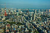 Blick über Tokio mit dem Tokyo Tower, vom Mori Tower, Roppongi Hills, Tokio, Honshu, Japan, Asien