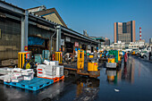 Tsukiji Fish Market, Tokyo, Honshu, Japan, Asia