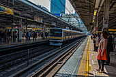 Untergrundbahn in Tokio, Honshu, Japan, Asien