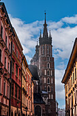 Tagesansicht des gotischen Wachturms der römisch-katholischen Basilika St. Maria entlang der Florianska-Straße, UNESCO-Welterbe, Krakau, Polen, Europa