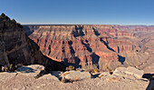 Hermit Canyon zwischen Pima Point und Hermits Rest, Grand Canyon National Park, UNESCO-Weltnaturerbe, Arizona, Vereinigte Staaten von Amerika, Nordamerika