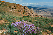 Hiking in Vayots Dzor, known for its red-hued mountains, Armenia (Hayastan), Caucasus, Central Asia, Asia