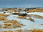 Landschaft bei Vik, Südisland, Polarregionen