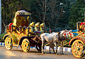 Horse drawn carriages and Maidan, Kolkata, West Bengal, India, Asia