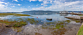 Blick auf Yachten und den Knysna Yacht Club mit dem Featherbed Nature Reserve im Hintergrund, Knysna, Garden Route, Western Cape, Südafrika, Afrika