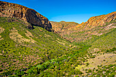 View of green mountainous landscape between Zoar and Calitzdorp, South Africa, Africa