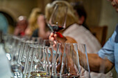 View of people sampling wine at Robertson Kooperatiewe Wynmakery, Robertson, Western Cape, South Africa, Africa