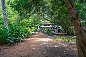 View of restaurant and cafe in Company's Garden, Cape Town, Western Cape, South Africa, Africa