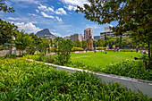 View of Company's Garden and Table Mountain in background, Cape Town, Western Cape, South Africa, Africa