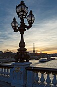 France, Paris, area listed as World Heritage by UNESCO, the putti supporting a streetlight by Henri Gauquie on Pont Alexandre III (Alexandre the Third bridge) and the Eiffel tower in the background