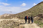 Israel, Judean and Samaria region, Judean desert, trekking at Kfar Hanokdim, area of Masada National Park et Ein Gedi Nature Reserve