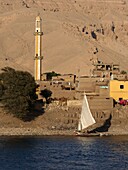 Egypt, Upper Egypt, Nile Valley, village on the banks of the Nile seen from a cruise ship sailing on the Nile at Edfu