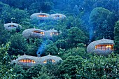 Ruanda, Volcanoes-Nationalpark, strohgedeckte Villen der Bisote-Lodge der Hotelgruppe Wildreness Safaris, die auf einem bewachsenen Hügel stehen