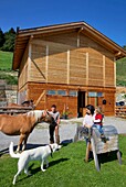 Italy, autonomous province of Bolzano, Gurschler family with their horses and their dog in the Grushof alpine farm, located in the heights of Glorenza