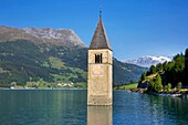 Italy, autonomous province of Bolzano, Lake Resia, engulfed church steeple emerging from lake waters surrounded by lush mountains