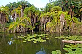 Burundi, Bugesera, northern lakes