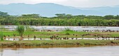 Burundi, Rusizi-Nationalpark