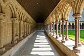 France, Manche, Mont Saint Michel bay listed as World Heritage by UNESCO, Mont Saint Michel, the cloister of the abbey church