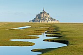 Frankreich, Manche, Bucht von Mont Saint Michel, von der UNESCO zum Weltkulturerbe erklärt, die Bucht und der Mont Saint Michel bei Herbsthochwasser von der Pointe du Grouin aus