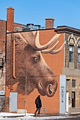 Canada, Quebec province, Montreal, Villeray neighborhood, Jarry-Est street, EtOH Brasserie and its moose mural