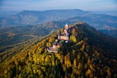 Frankreich, Bas Rhin, Orschwiller, Elsässer Weinstraße, Burg Haut Koenigsbourg (Luftbild)