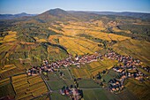 France, Bas Rhin, Alsace Wine Route, Nothalten, village, church, vineyard (aerial view)