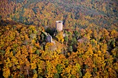 France, Haut Rhin, Ribeauville, Haut Ribeaupierre Castle (aerial view)