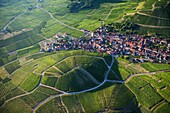 France, Haut Rhin, Alsace Wine Route, Katzenthal, Saint Nicolas church, Wineck castle, vineyard (aerial view)