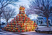 United States, New England, Massachusetts, Cape Cod, Provincetown, lobster trap Christmas Tree