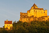 France, Dordogne, Castelnaud, castle of Castelnaud