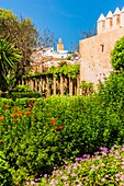 Marokko, Rabat, von der UNESCO zum Weltkulturerbe erklärt, Udayas kasbah (kasbah des Oudaïas), der andalusische Garten