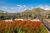 Armenien, Ararat-Region, Friedhof am Fuße des Klosters Khor Virap, im Hintergrund der Berg Ararat