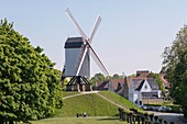 Belgien, Westflandern, Brügge, Kruisvest Park, Bonne Chieremolen Mühle