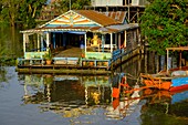 Cambodia, Kompong Phluc or Kampong Phluc, near Siem Reap, stilt house village, flooded forest on the banks of Tonlé Sap lake