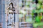 Cambodia, Angkor on World Heritage list of UNESCO, Preah Khan of Angkor, built in 1191 by King Jayavarman VII, Apsara statue