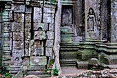 Kambodscha, Angkor auf der Welterbeliste der UNESCO, Ta Prohm Tempel, erbaut im 12. Jahrhundert, von König Jayavarman VII, Apsara oder Devadata Statue