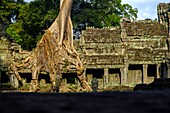 Kambodscha, Angkor auf der Welterbeliste der UNESCO, Preah Khan von Angkor, erbaut 1191 von König Jayavarman VII