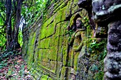 Cambodia, Angkor on World Heritage list of UNESCO, Ta Prohm temple, built in 12 th. century, by King Jayavarman VII, Apsara or Devadata statue