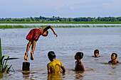 Cambodia, Kompong Thom province, Kompong Thom or Kampong Thom, children playing in the flooded ricefields